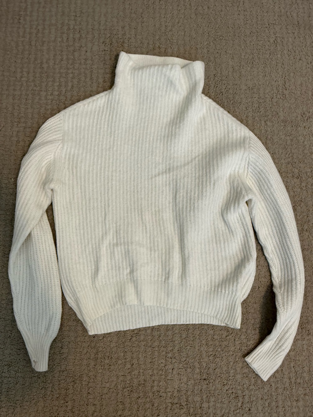 Aritzia Women’s Montpellier Turtleneck